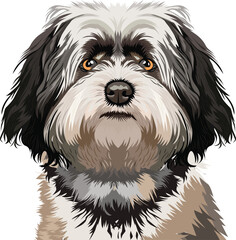 Havanese dog face isolated on a white background, EPS, Vector, Illustration - This versatile design is ideal for prints, t-shirt, mug, poster, and many other tasks.