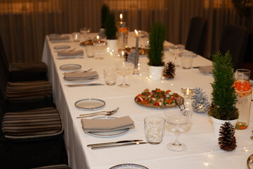 Elegant Dining Table decor with Candle, Plant, and Place Setting. Elegant dining table with banquet arrangement, candles, and place settings.