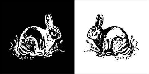 Ilustrasi vektor grafis kelinci icon