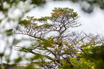 View of Los Glaciares National Park, El Chalten,Patagonia, Argentina.