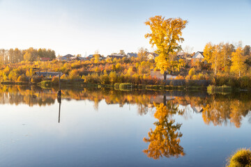 autumn landscape with tree, sky and pond