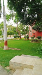Lush Greenery: Embracing the Scenic Beauty of Nature with Abundant Leaves and Trees