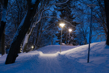 Long exposure of Linda Hill (Lindamägi) park of Tallinn Old Town, Estonia in winter night, street...