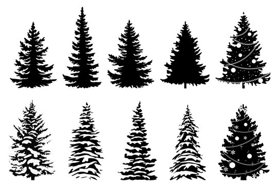 Black and white fir and pine trees with snow and christmas decoration. Vector illustration.