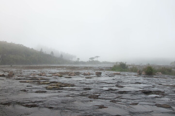 mist over the river in brazil