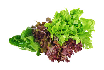 Fresh lettuce leafs transparent png