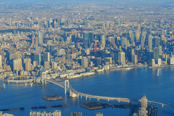 空からの東京タワーとレインボーブリッジ 航空写真