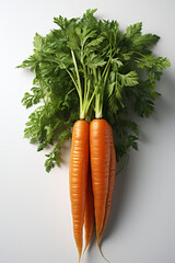 Carrot. Portrait. Ideal for advertising or banner.