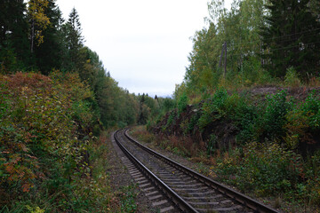 View of railway tracks with green tree. Travel and transportation concept.