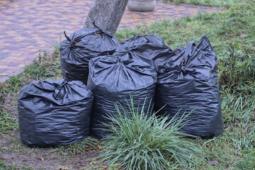 a pile of black plastic bags with garbage stand on the ground in green grass on the street