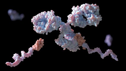 Conjugal of DNA to primary antibodies with protein G and linker for multiplexed cellular targeting: 3D rendering - obrazy, fototapety, plakaty