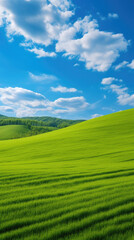 Fototapeta premium Serene Countryside Landscape with Lush Green Hills and Blue Sky