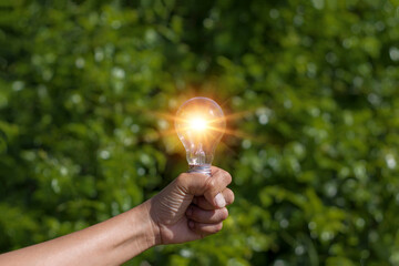 Hand holding a light bulb, green leaf background, natural energy and environment concept.