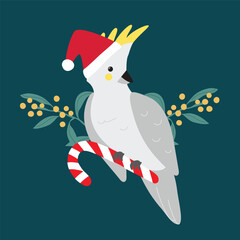 Vector Cockatoo Parrot Christmas Xmas Cute Cartoon Bird Tropical Australian Animals with Santa Hat and Wattle and Candy Cane