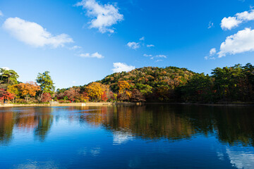 Fototapeta na wymiar 紅葉風景