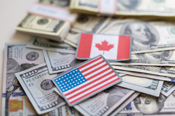 Usa Dollars and Canada - 3D illustrations Together - Fabric Texture
