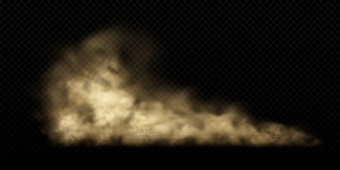 Sand cloud with dust isolated on transparent background. Desert storm, sandstorm. Dusty cloud or dry sand flying. Realistic vector illustration © Vector_Artist