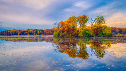 Heron Island in Kensington Metro Park, Milford, MI.  Heron Island gets its name from the large Great Blue Heron and Great Egret rookery that comes to life every spring.