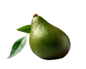 Avocado on a light transparent background. PNG file. Generative artificial intelligence