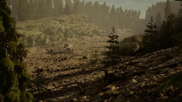 3D Cinematic Animation Of A Triceratops Dinosaur, Walking