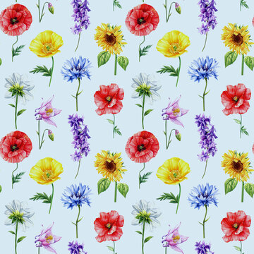 Seamless pattern with summer wildflowers watercolor. Floral design elegant botanical background. Colorful Garden flowers