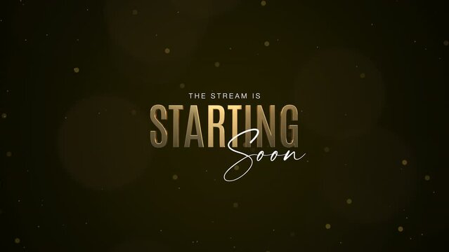 Elegant Stream Is Starting Soon Banner Loop