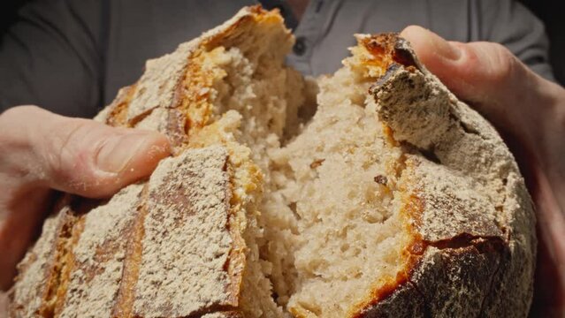 Homemade bread breaking. Baker hands breaking bread. Craft organic bread. Male baker hands breaking homemade bread. Bakery concept. Close-up in 4K, UHD