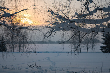 Fototapeta na wymiar evening sunset in a snow-covered field where trees can be seen in the distance in winter