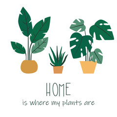 HOME IS WHERE YOUR PLANTS ARE. Illustration of house plants in pots isolated on white background.