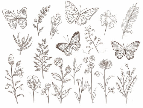 butterflies and flowers Line drawing illustration children coloring
