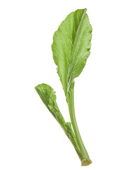 Choy sum (Brassica rapa var. parachinensis) leaves