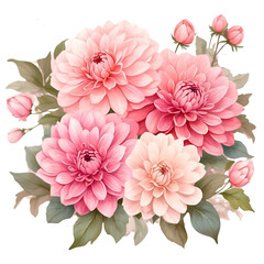 Watercolor illustration pink dahlia flowers arrange in the bouquet. Creative graphics design.