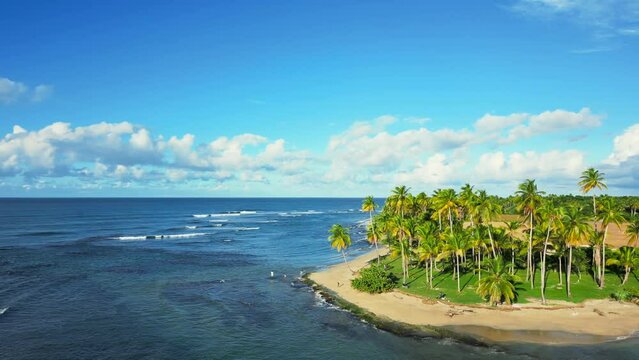Aerial rising up view the shore of the wild tropical sandy beach with green tall palm trees. Calm sea water and clear blue sky at down. Beautiful Caribbean landscape in Dominican Republic