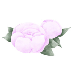 Pink rose clip art on white background 