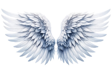 White angel wings llustration cut out transparent isolated on white background ,PNG file