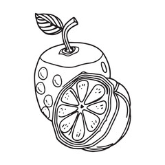 Fruits coloring pages printable drawings for kids vector Black and white color