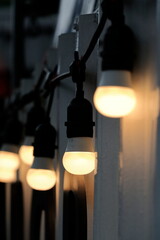 led light bulb photo set
