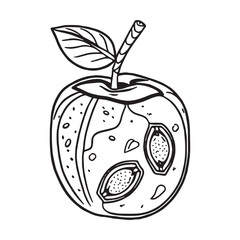 Fruits coloring pages printable drawings for kids vector Black and white color