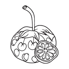 Fruits coloring pages printable drawings for kids vector Black and white color
