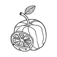 Fruits coloring pages printable drawings for kids vector Black and white color