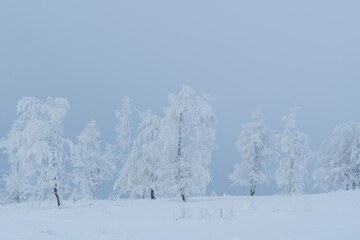Winter landscape at the mountain called Kahler Asten in the city Winterberg