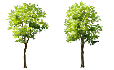 Obraz premium Vector watercolor green tree or forest side view isolated on white background for landscape and architecture drawing,elements for environment or garden,botanical element for exterior section in spring