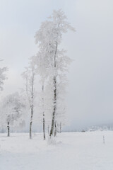 Fototapeta na wymiar Winter landscape at the mountain called Kahler Asten in the city Winterberg