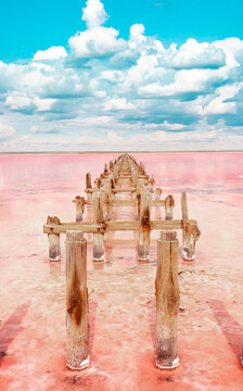 The pink lake is a beautiful landscape, unusual nature. A unique rare natural phenomenon. Salt lake with pink algae. Beautiful landscape.