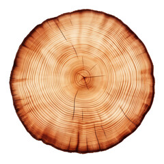 Closeup of tree ring isolated on transparent background, top view, PNG - obrazy, fototapety, plakaty