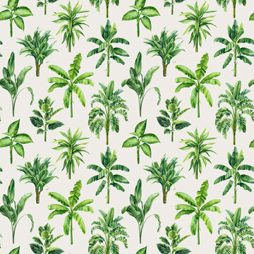 Exotic floral pattern. tropical green plant in summer print. Watercolor tropical palm leaves, jungle seamless pattern 