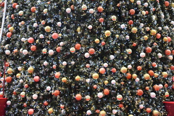 Sapin de Noël décoré en décembre