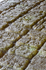 Coba Maya Ruins ancient buildings pyramids reliefs tropical jungle Mexico.