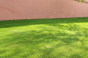 A green lawn after Thanksgiving is not unusual in Texas. A freeze is all that it will take to turn...