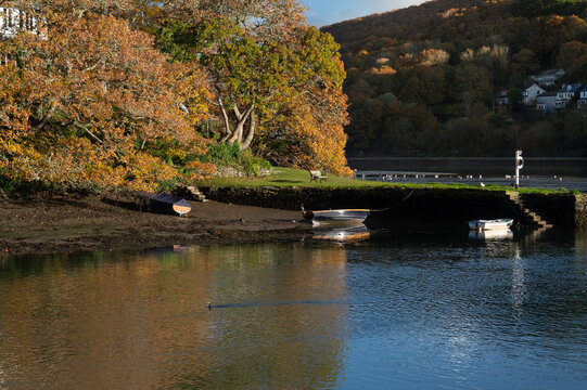 Autumn West Looe River Sun boats golden trees